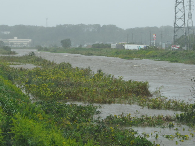 2013年10月16日 台風26号 印旛沼