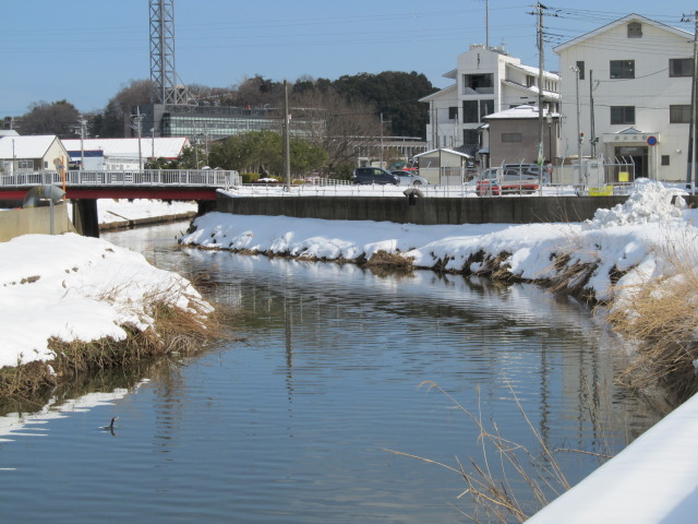 2014年2月8日 大雪 印旛沼