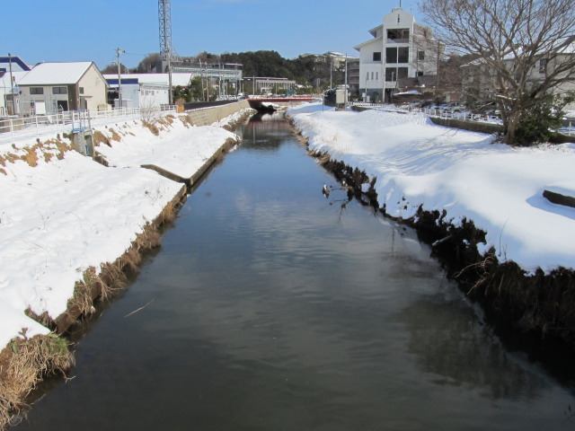 2014年2月8日 大雪 印旛沼
